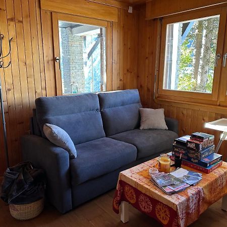 Chalet Edelweiss A Saint-Martin, Val D'Herens Bagian luar foto
